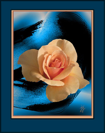 "Yellow Rose" &copy; 2008 Alegr&iacute;a Studio. All rights reserved